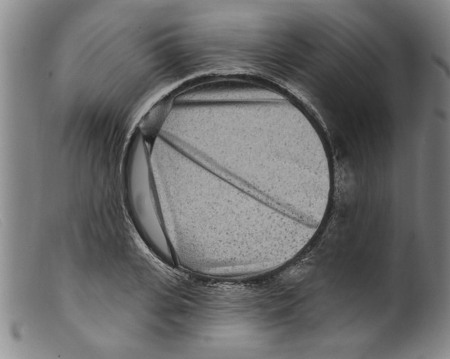 X0000098200935200805221538