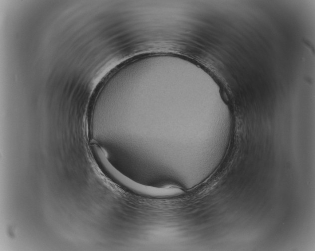 X0000098200936200805221538