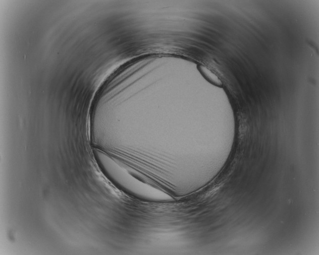 X0000098200940200805221538