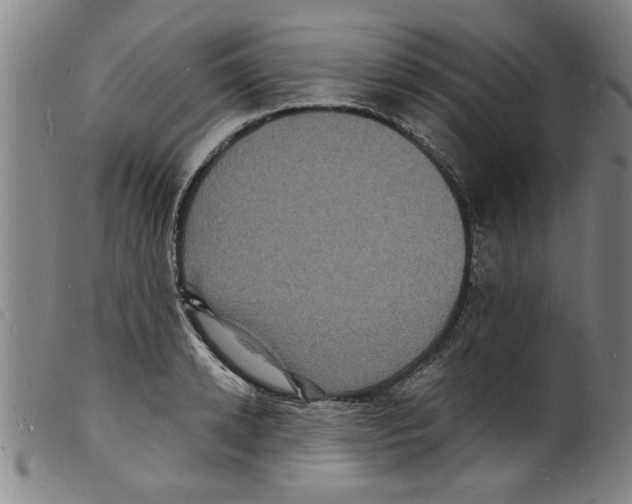 X0000098200942200805221538