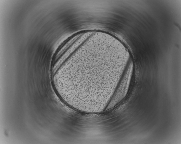 X0000098200943200805221538