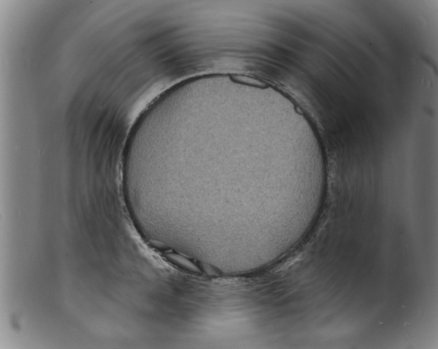 X0000098200944200805221538