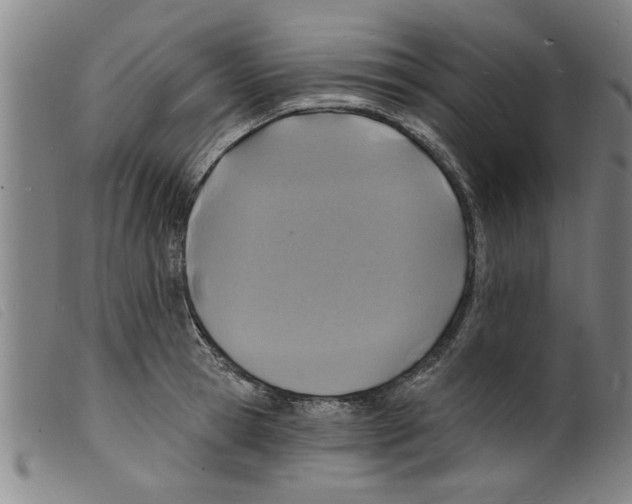 X0000098200945200805221538