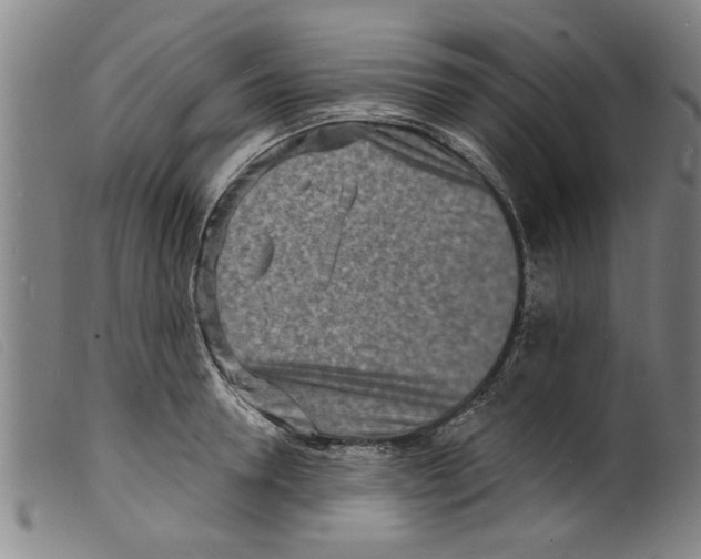 X0000098200946200805221538
