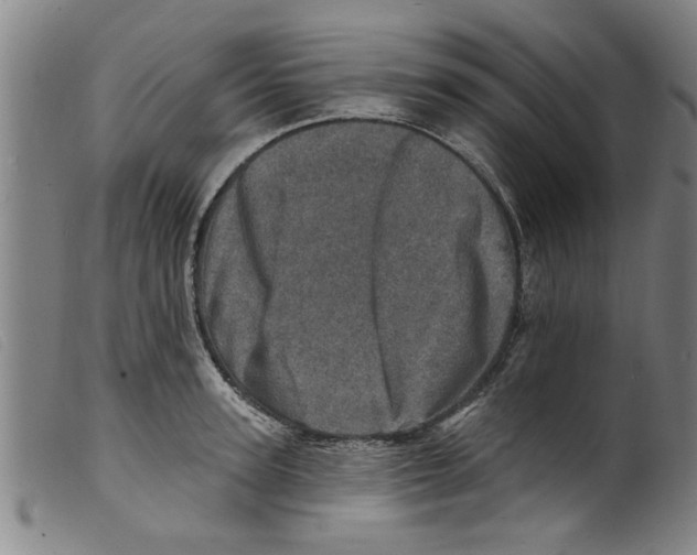 X0000098200947200805221538