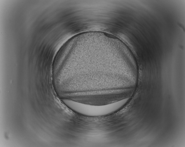 X0000098200948200805221538