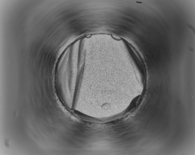 X0000098200949200805221538