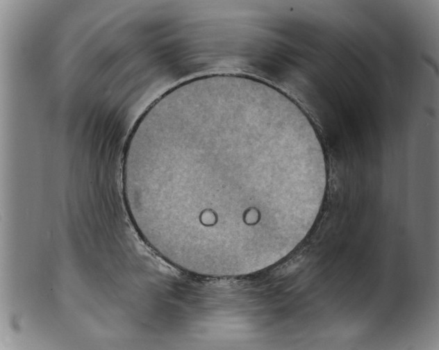 X0000098200950200805221538