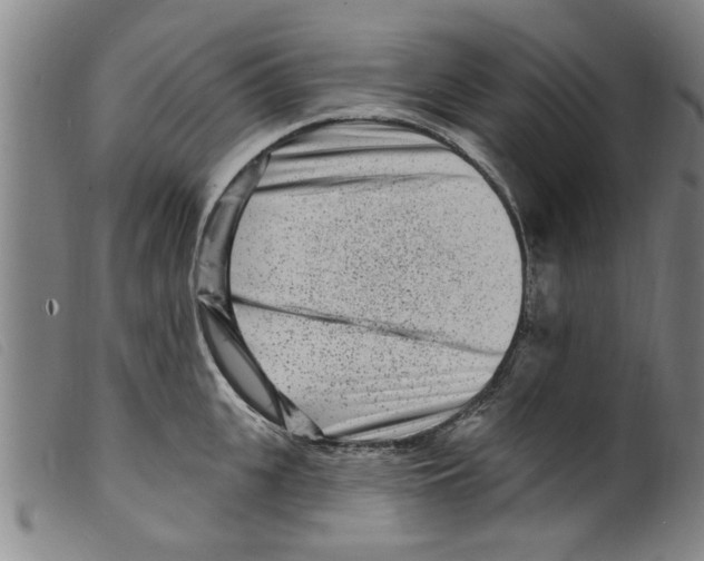 X0000098200951200805221538