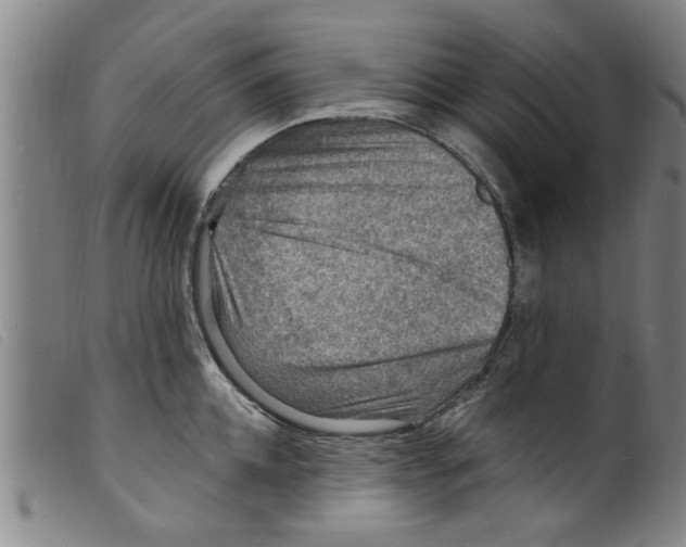 X0000098200952200805221538