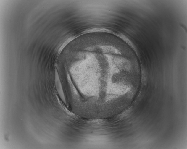 X0000098200953200805221538