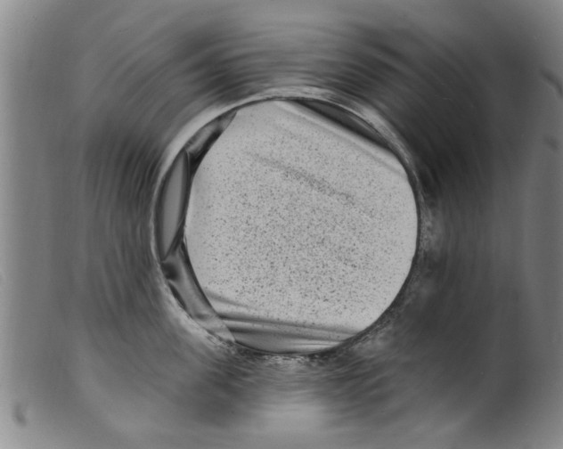 X0000098200955200805221538