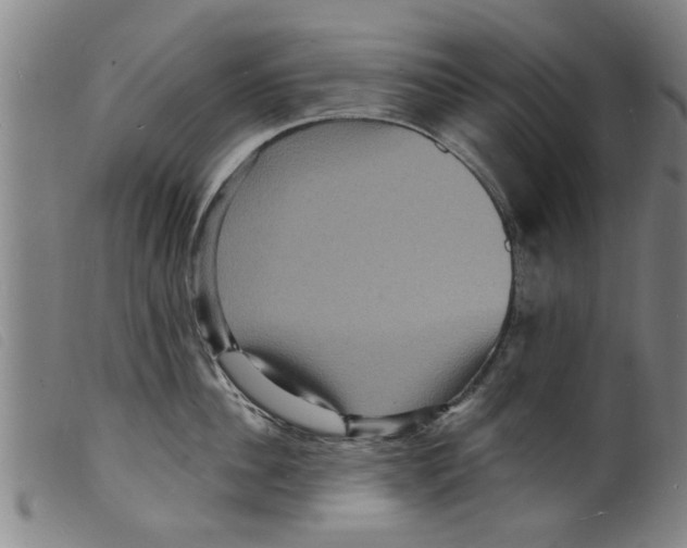 X0000098200956200805221538