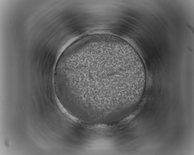 X0000098200957200805221538