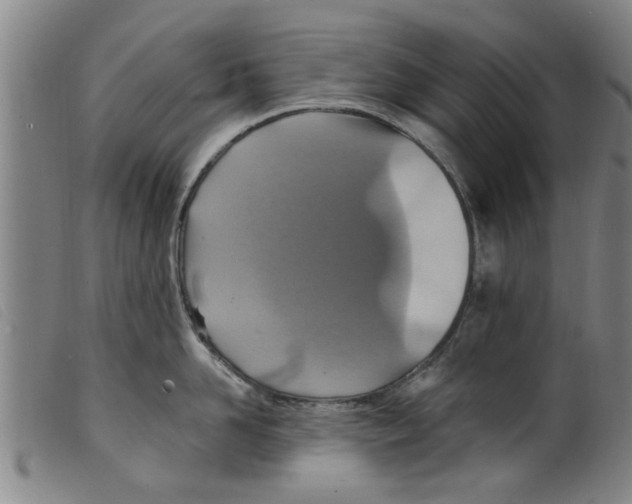 X0000098200958200805221538
