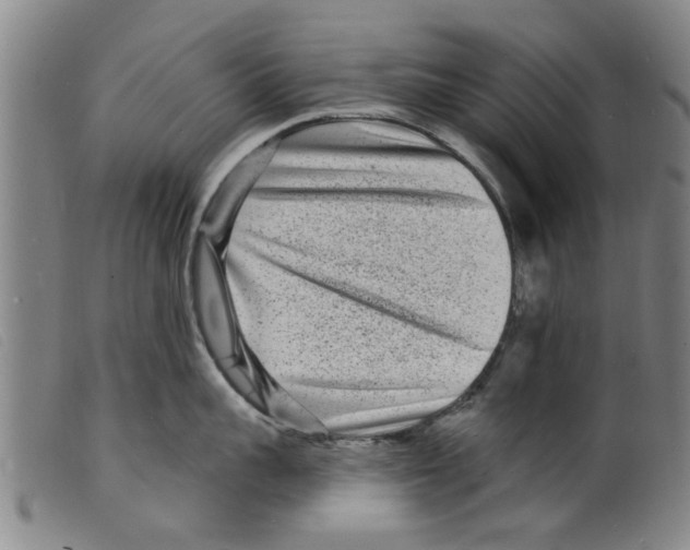 X0000098200959200805221538