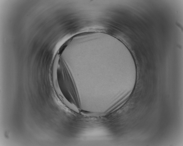 X0000098200960200805221538