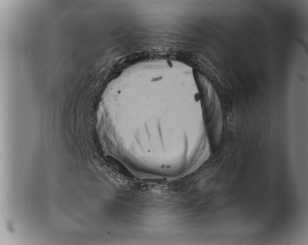 X0000098200961200805221538