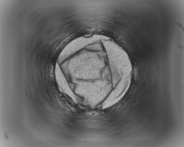 X0000098200963200805221538