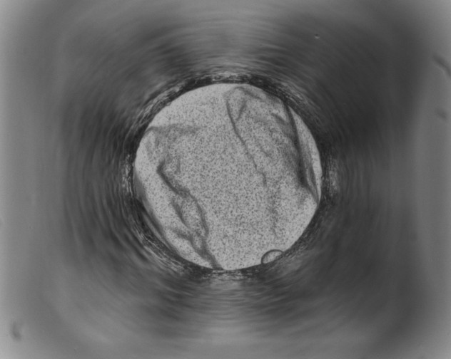 X0000098200964200805221538