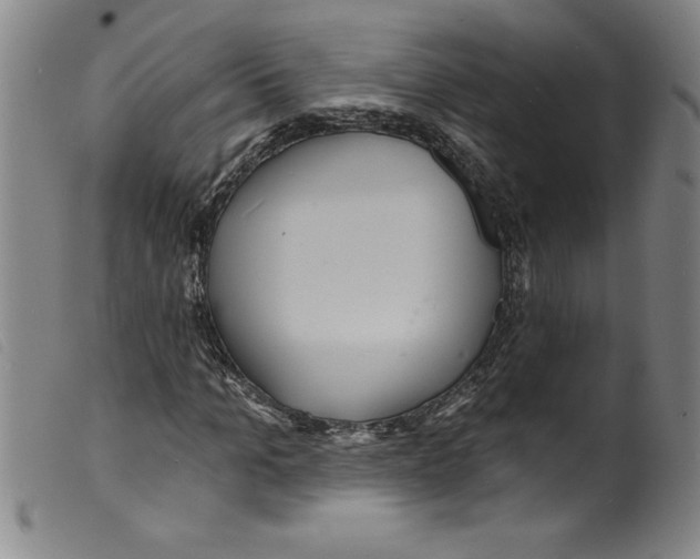 X0000098200965200805221538