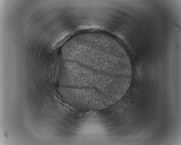 X0000098200967200805221538