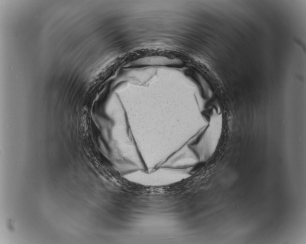 X0000098200968200805221538