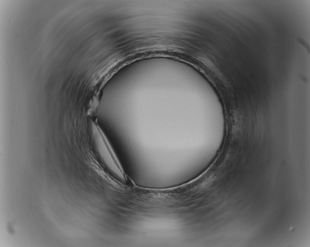 X0000098200969200805221538