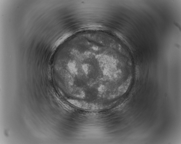X0000098200970200805221538