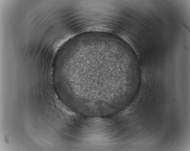 X0000098200971200805221538