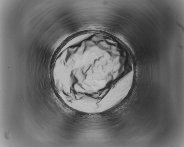 X0000098200972200805221538
