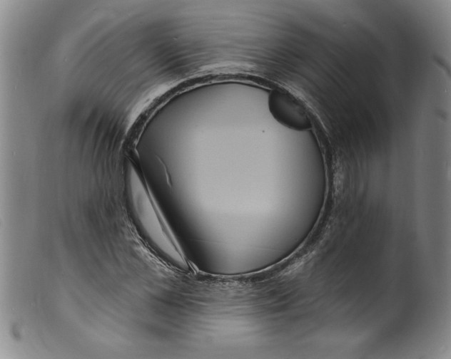 X0000098200973200805221538