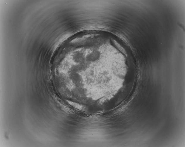 X0000098200974200805221538
