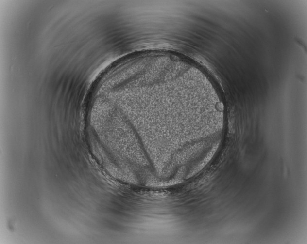 X0000098200975200805221538