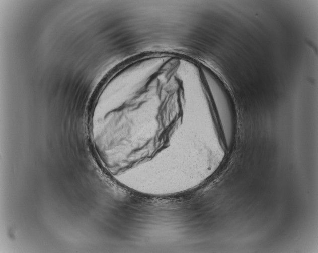 X0000098200976200805221538