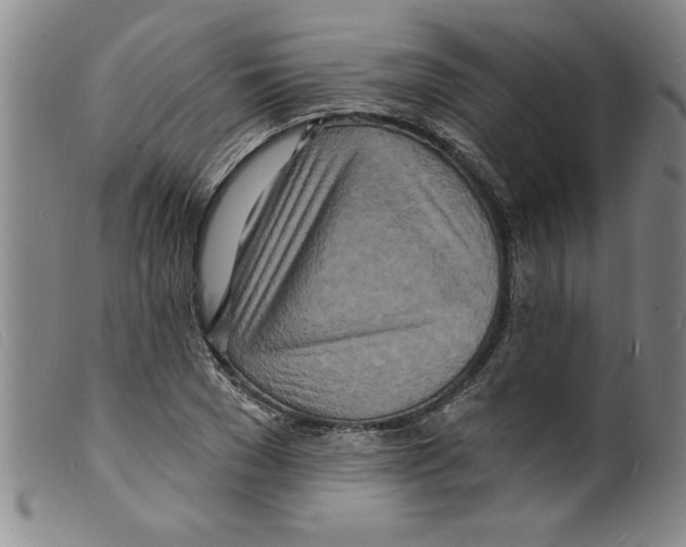 X0000098200977200805221537