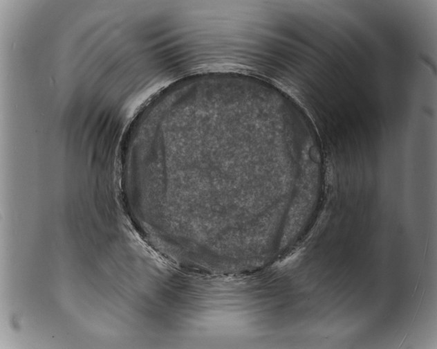 X0000098200979200805221537