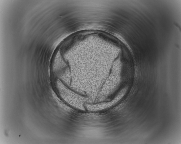 X0000098200980200805221537