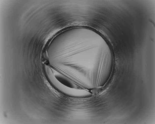 X0000098200981200805221537