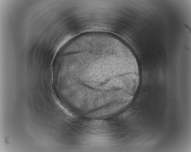 X0000098200982200805221537