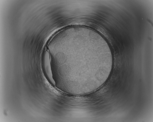 X0000098200984200805221537