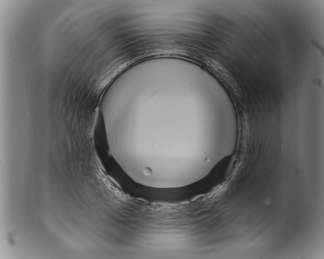 X0000098200985200805221537