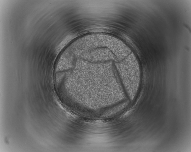 X0000098200986200805221537