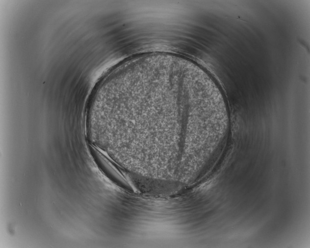 X0000098200987200805221537