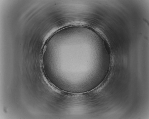 X0000098200989200805221537