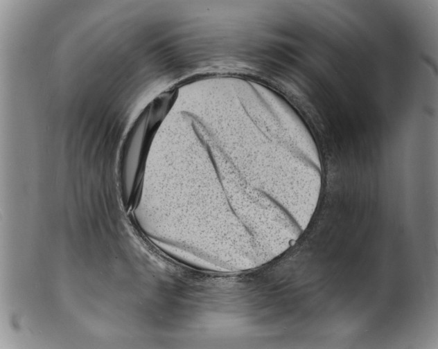 X0000098200990200805221537