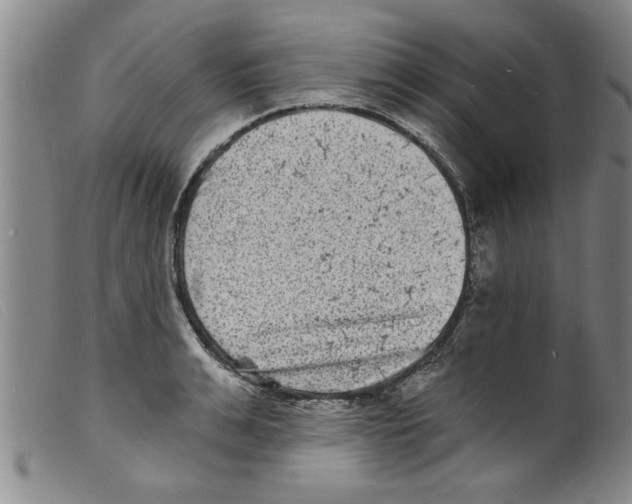 X0000098200991200805221537