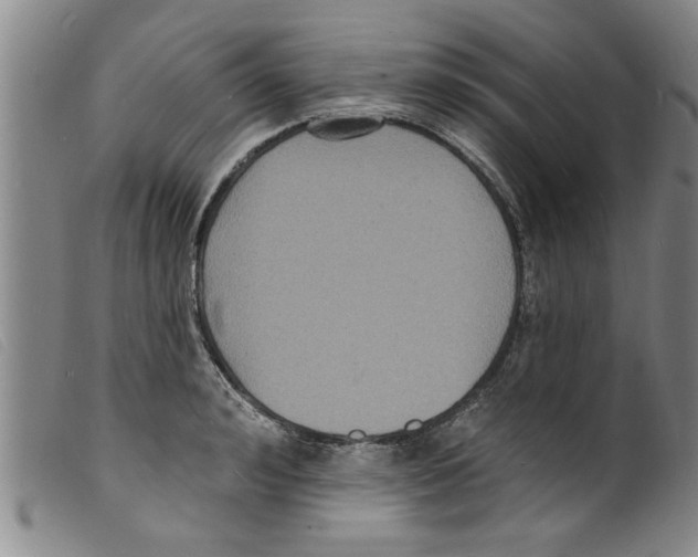 X0000098200992200805221537