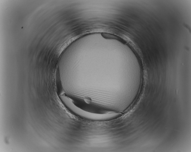 X0000098200993200805221537