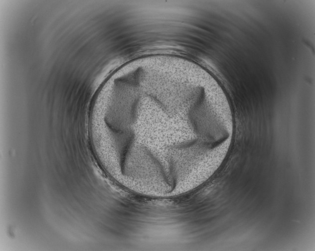 X0000098200994200805221537